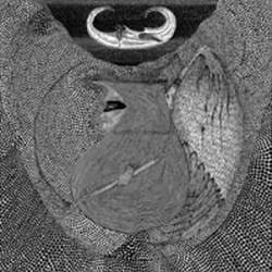 Iron Lung (USA-2) : Sexless - No Sex